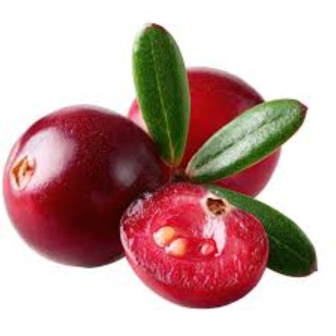 FRESH CRANBERRIES